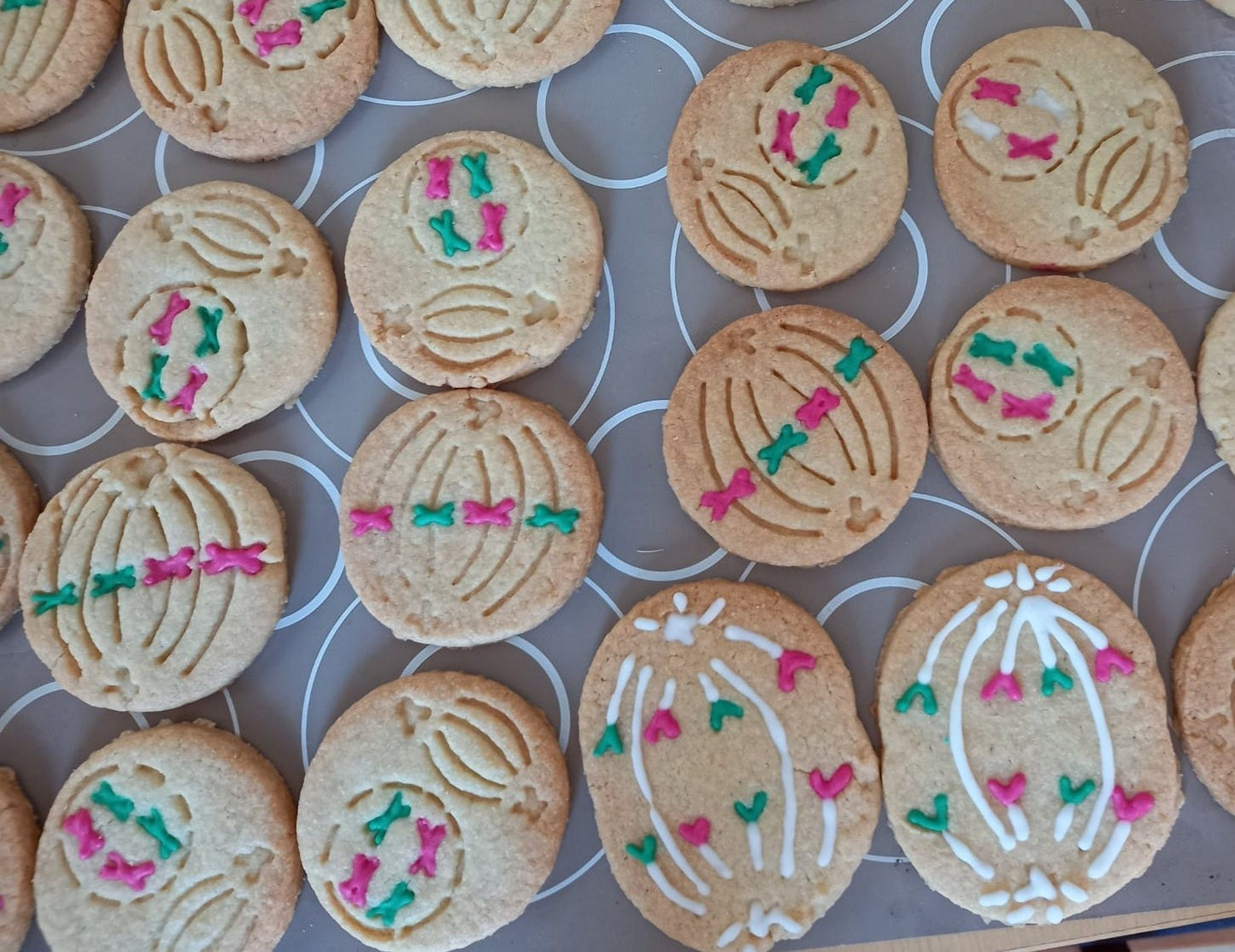 Emporte-pièces de la mitose