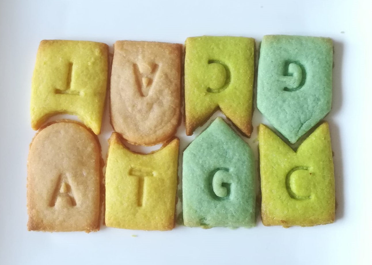 Emporte-pièces des bases de l'ADN