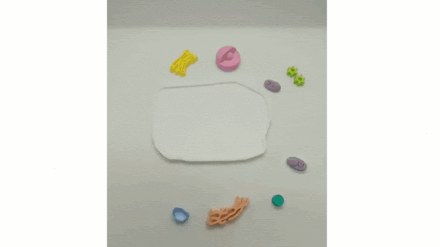 Modèle de cellule modulable en 3D