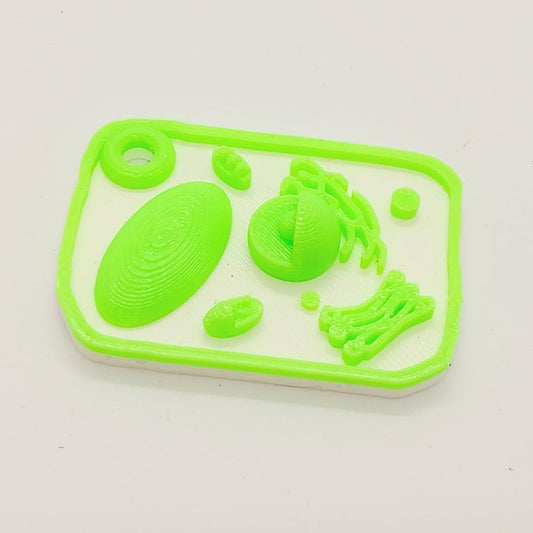 Porte-clés cellules