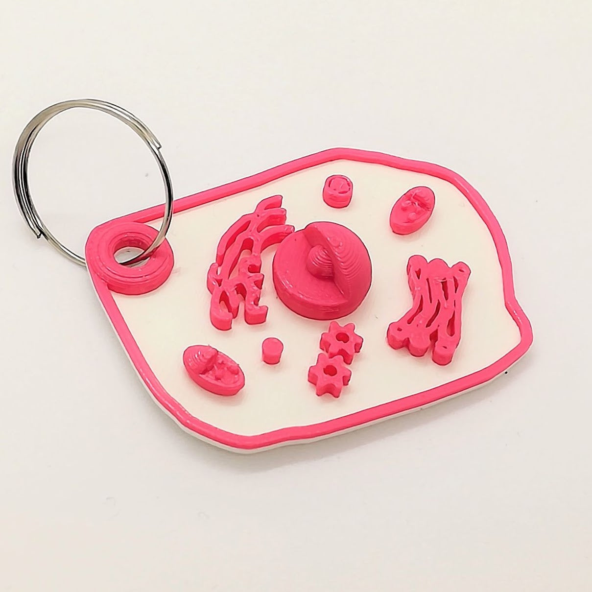 Porte-clés cellules