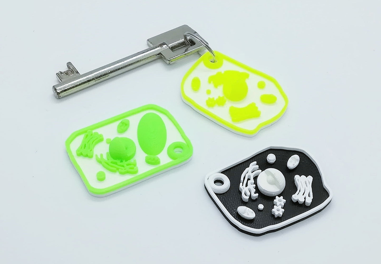 Porte-clés cellules