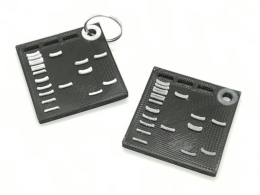 Porte-clés gel d'élèctrophorèse