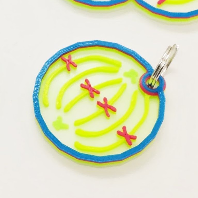 Porte-clés de la mitose