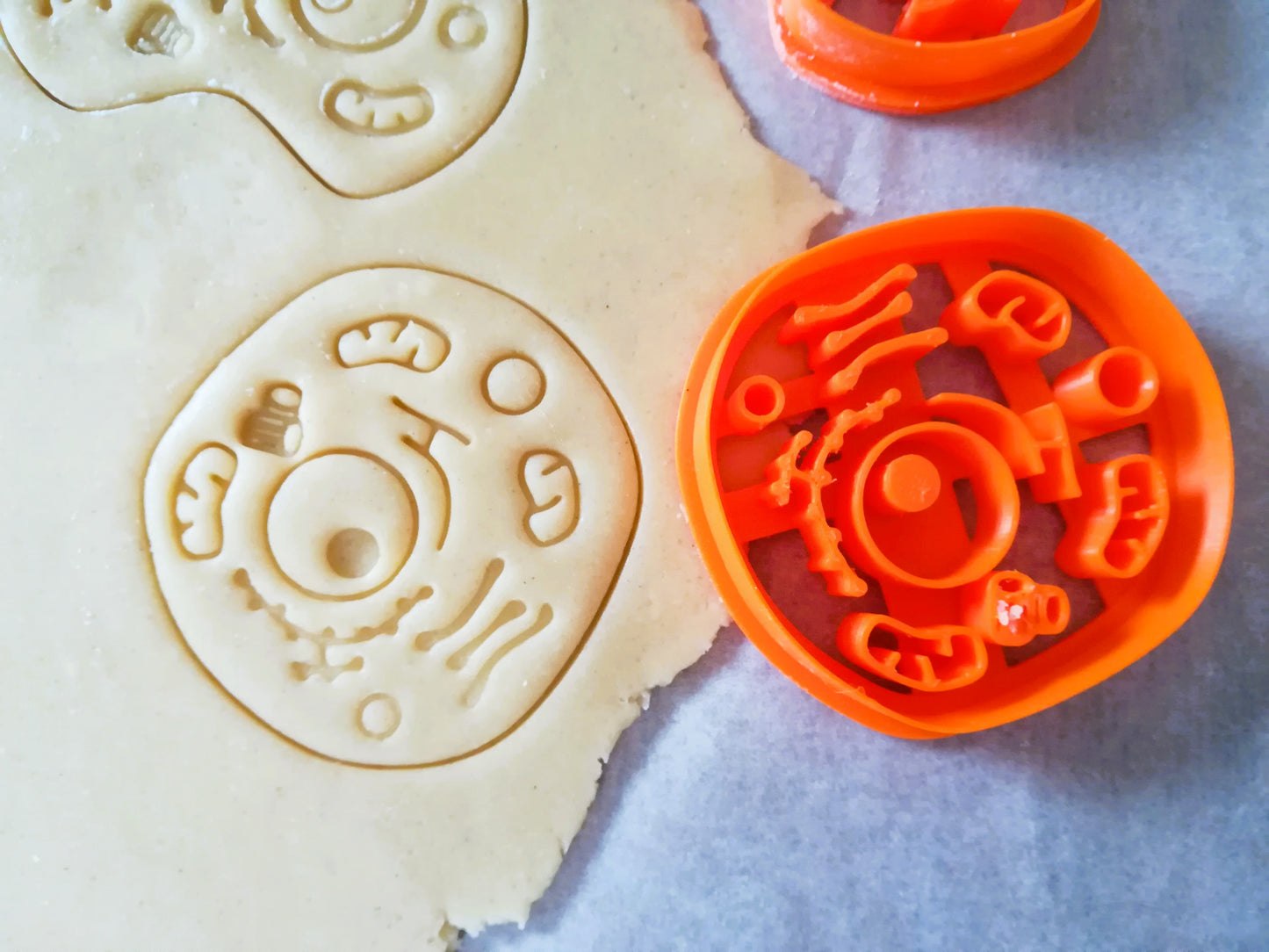 Emporte-pièce cellule (animale ou végétale)