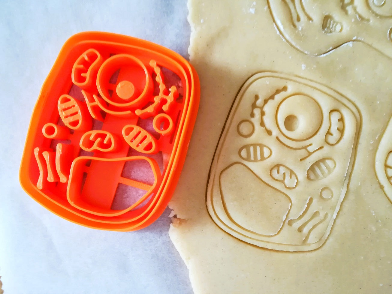 Emporte-pièce cellule (animale ou végétale)