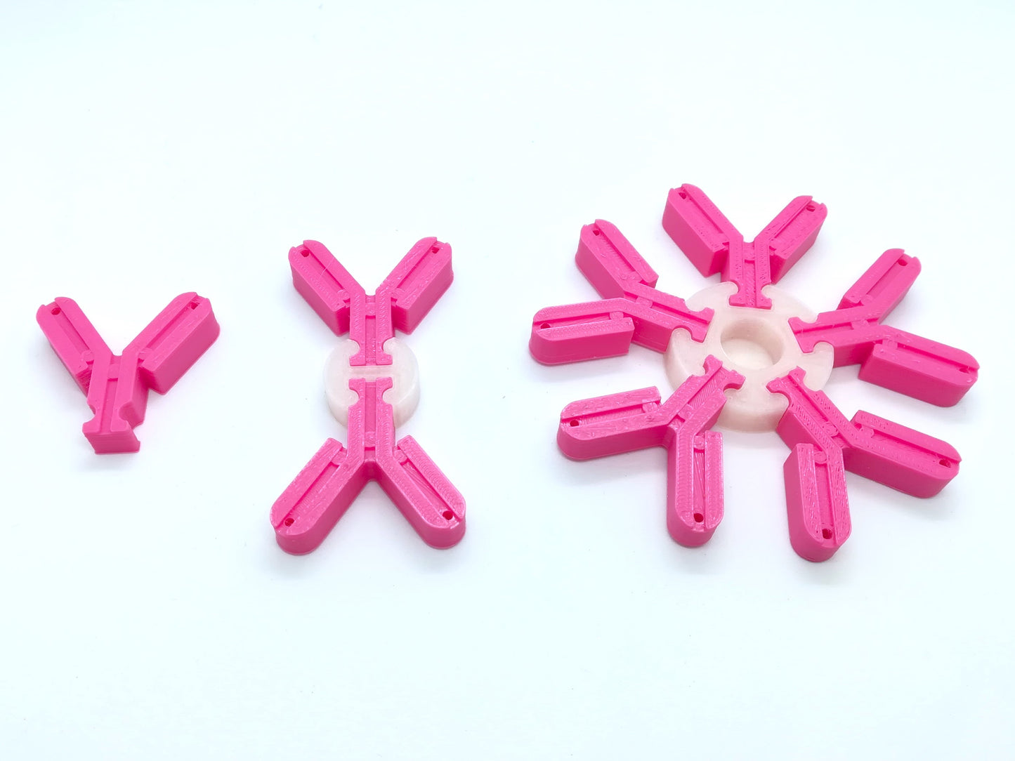 Modèle 3D des anticorps