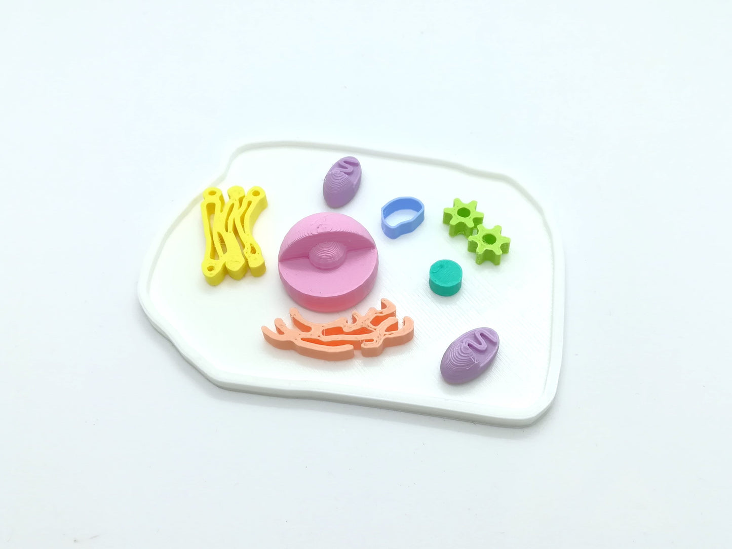 Modèle de cellule modulable en 3D