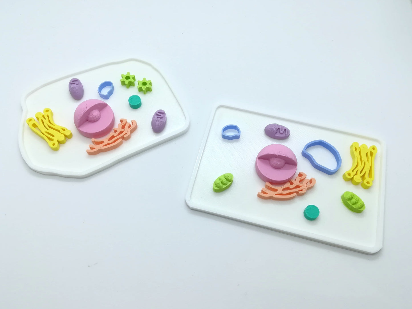 Modèle de cellule modulable en 3D