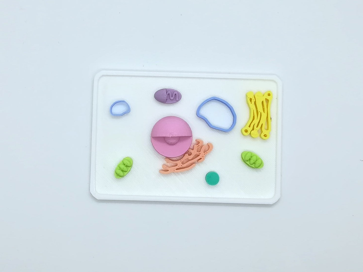 Modèle de cellule modulable en 3D