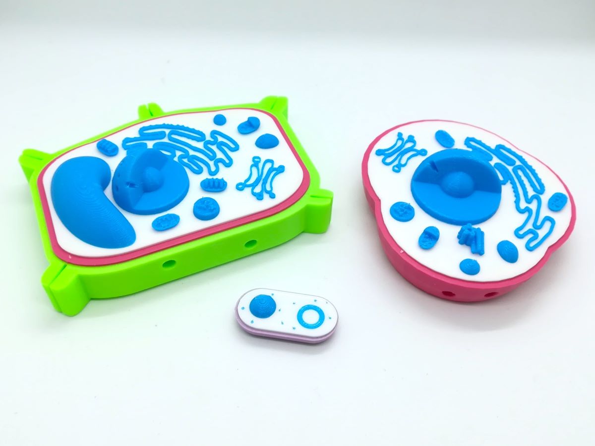 Modèle de cellule interactive en 3D