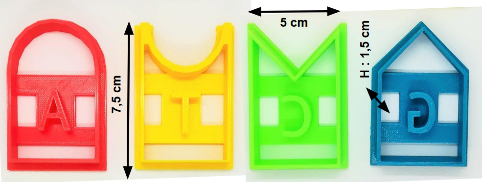 Emporte-pièces des bases de l'ADN