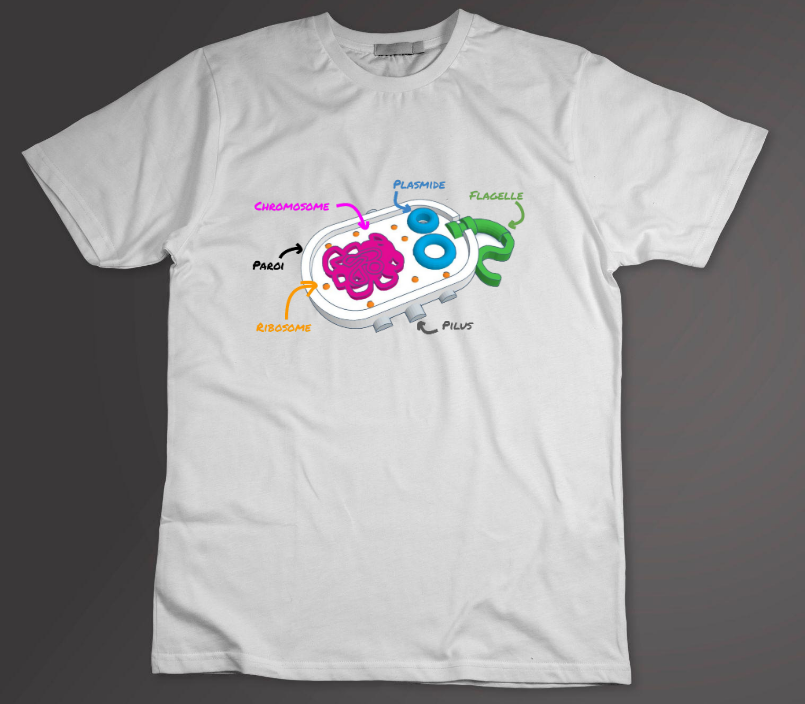 T-shirt Procaryote