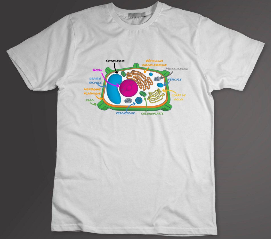 T-shirt Cellule Végétale