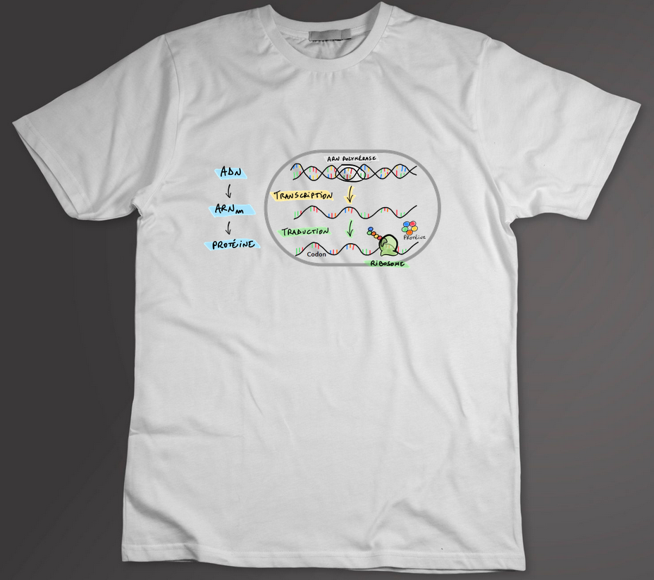 T-shirt transcription et traduction