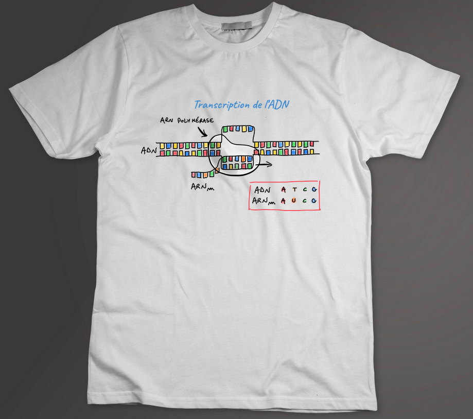 T-shirt transcription de l'ADN