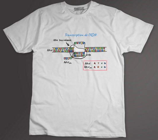 T-shirt transcription de l'ADN